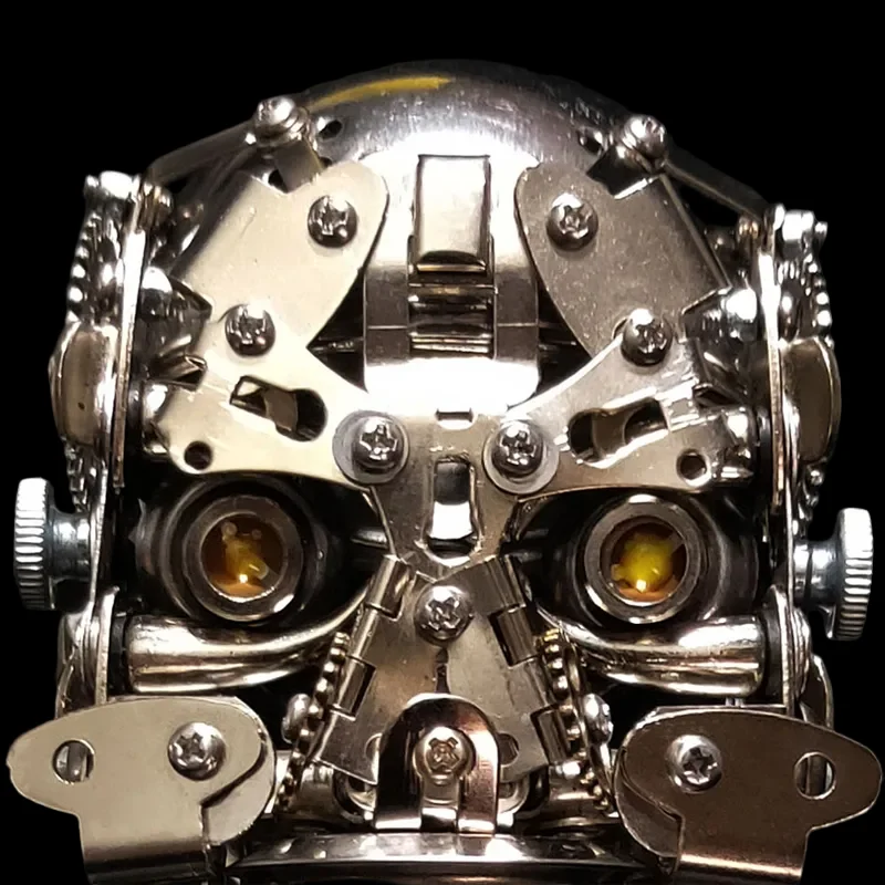 200pcs+ Metal Assembly Skull Head Model Toys for Kids and Adults_3