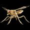 Amazing Large Wasp 3D Puzzle Metal Assembly Model - Ideal Gift & Decoration