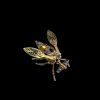 Drosophila